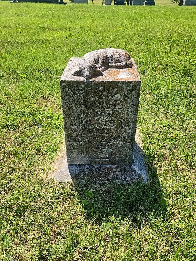 Richard A. Hall's grave. Photo 1