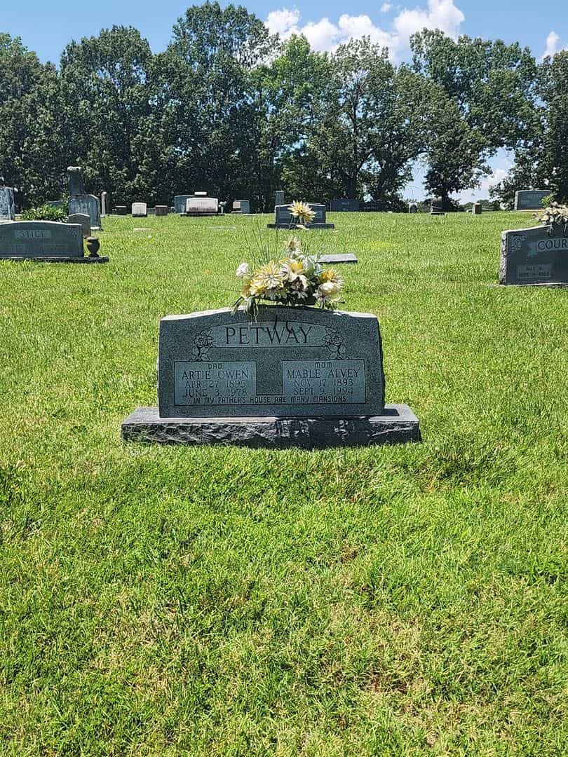 Artie Owen Petway's grave. Photo 2