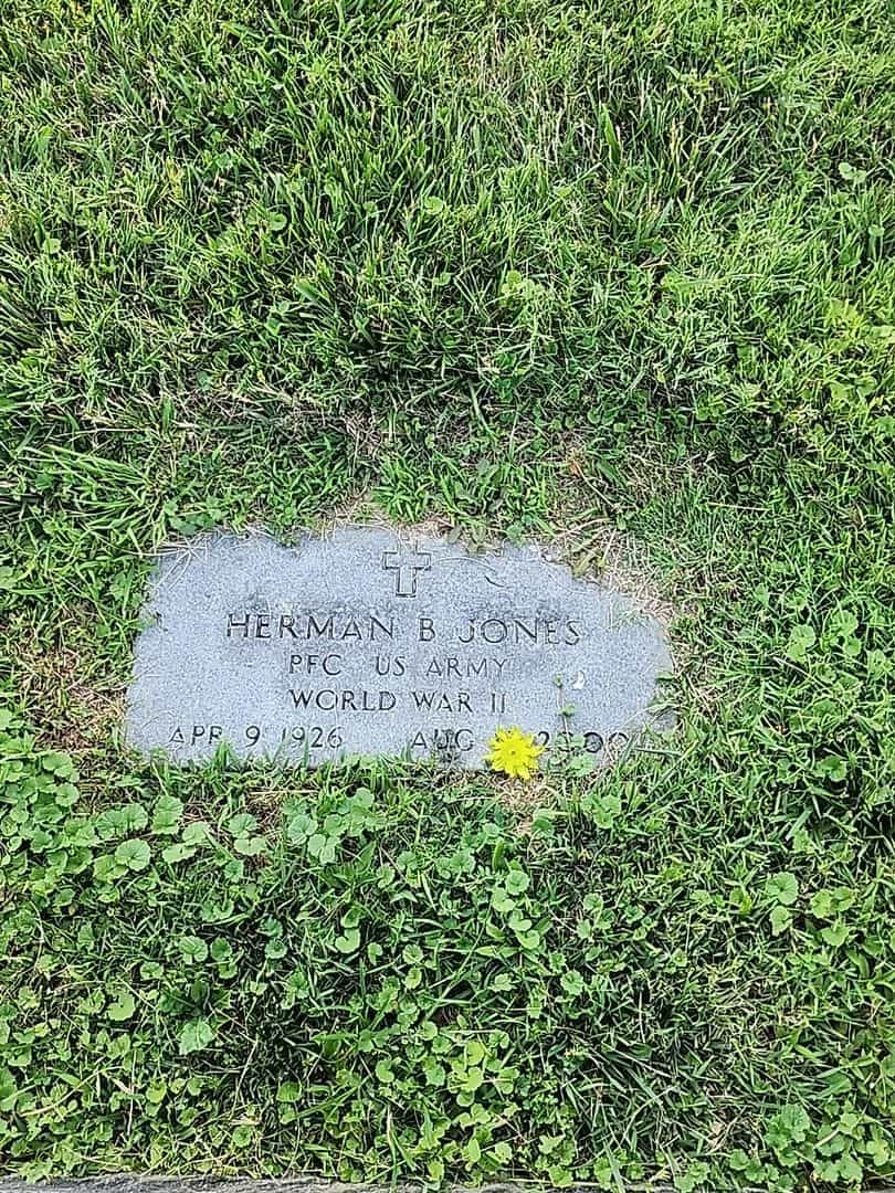 Herman B. Jones's grave. Photo 3