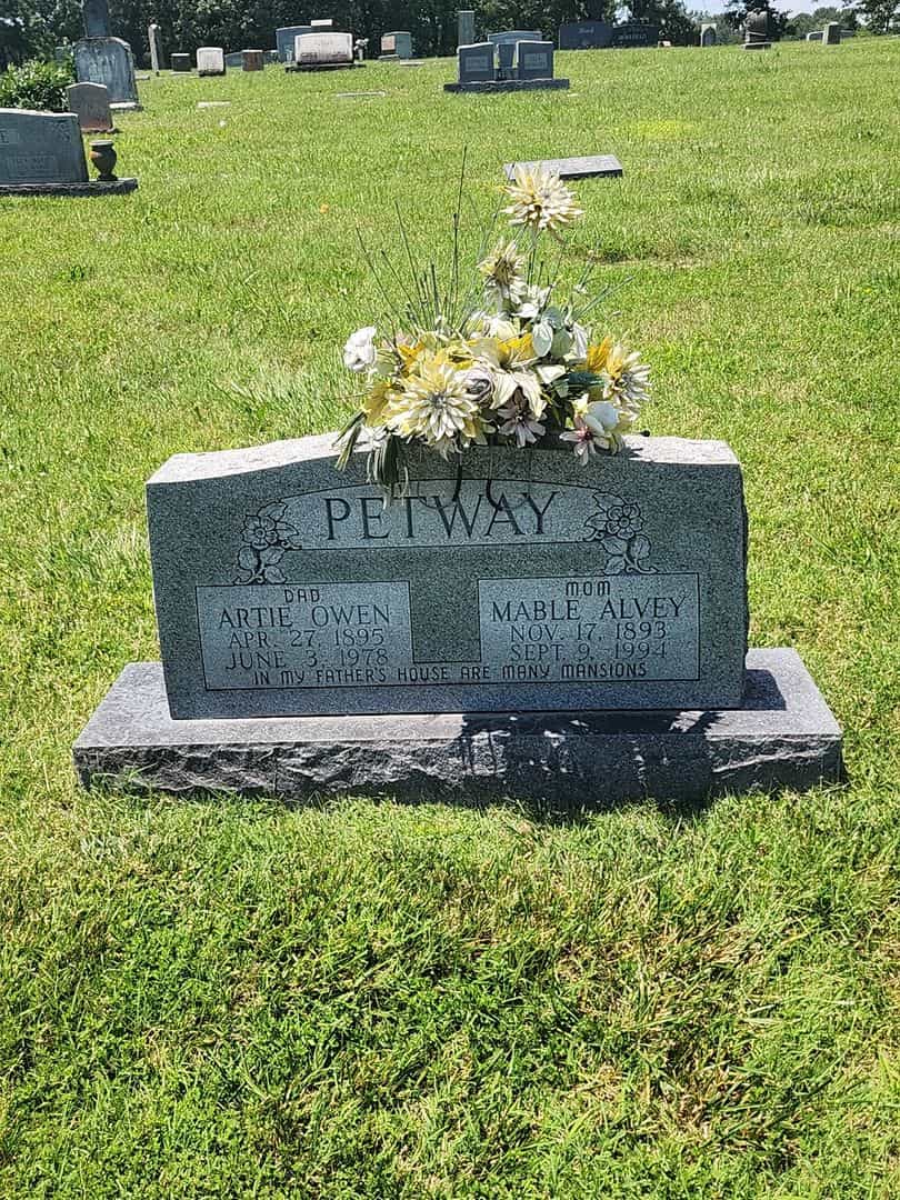 Artie Owen Petway's grave. Photo 1