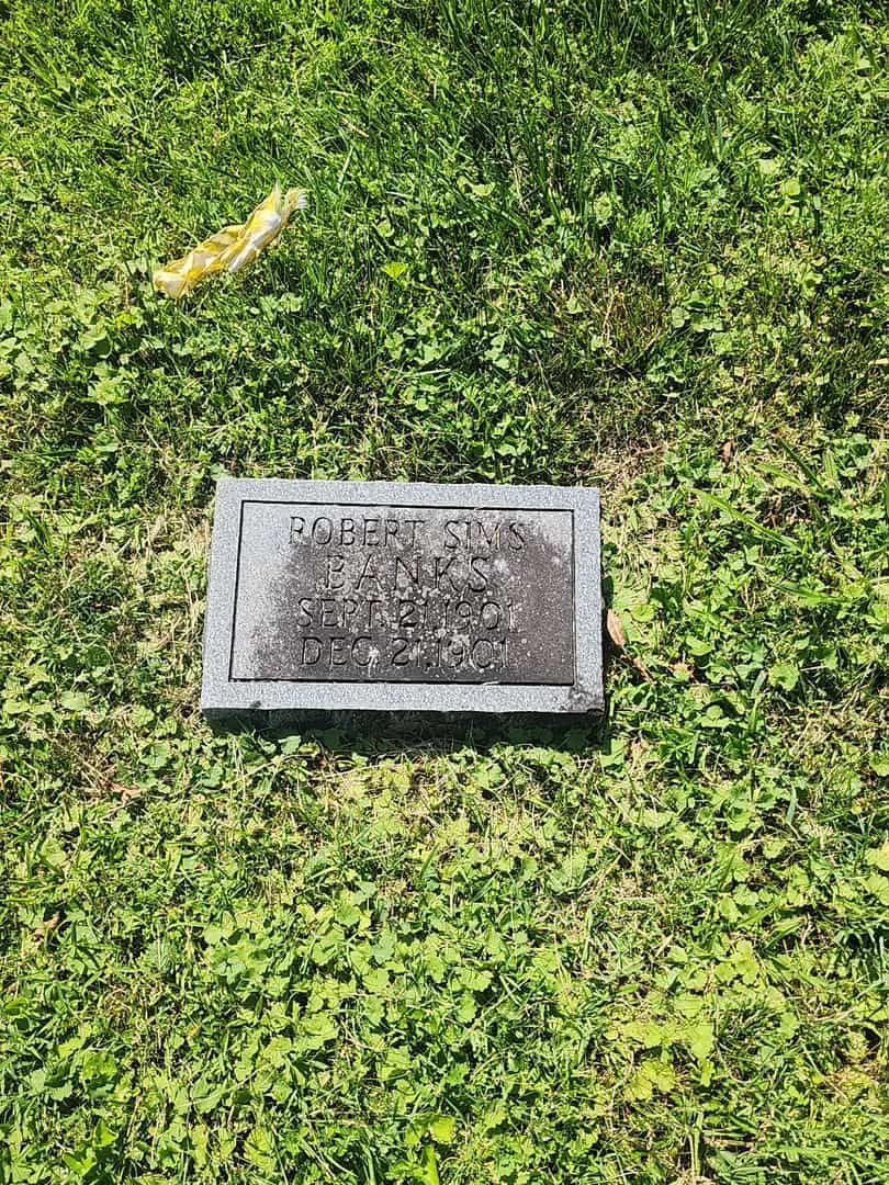 Robert Sims Banks's grave. Photo 1